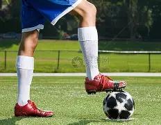 亮相,高屏,电竞双核,芒果体育平台,芒果体育官方网站,芒果体育登录入口,芒果体育app下载