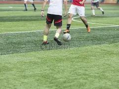 主场强势反,胡齐斯坦能,否抓住逆转,芒果体育平台,芒果体育官方网站,芒果体育登录入口,芒果体育app下载