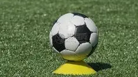 日本知名偶像安本彩花被诊断出患有恶性淋巴瘤，演艺事业暂时搁置