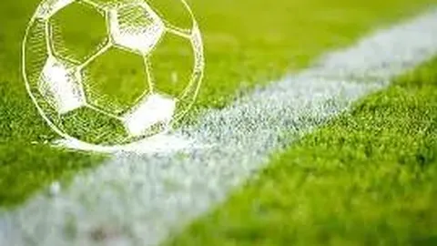 芒果体育 产品 083143 ma8