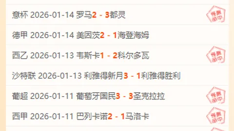 森保一指出：每场胜利皆为世界杯冠军梦坚实垫脚石。