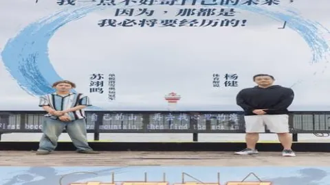 德乙四连胜解读：榜首期号专家质合推荐解析